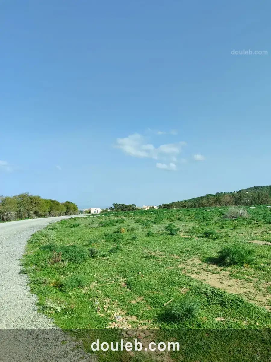 250 mc opportunité a saisir à Tunis