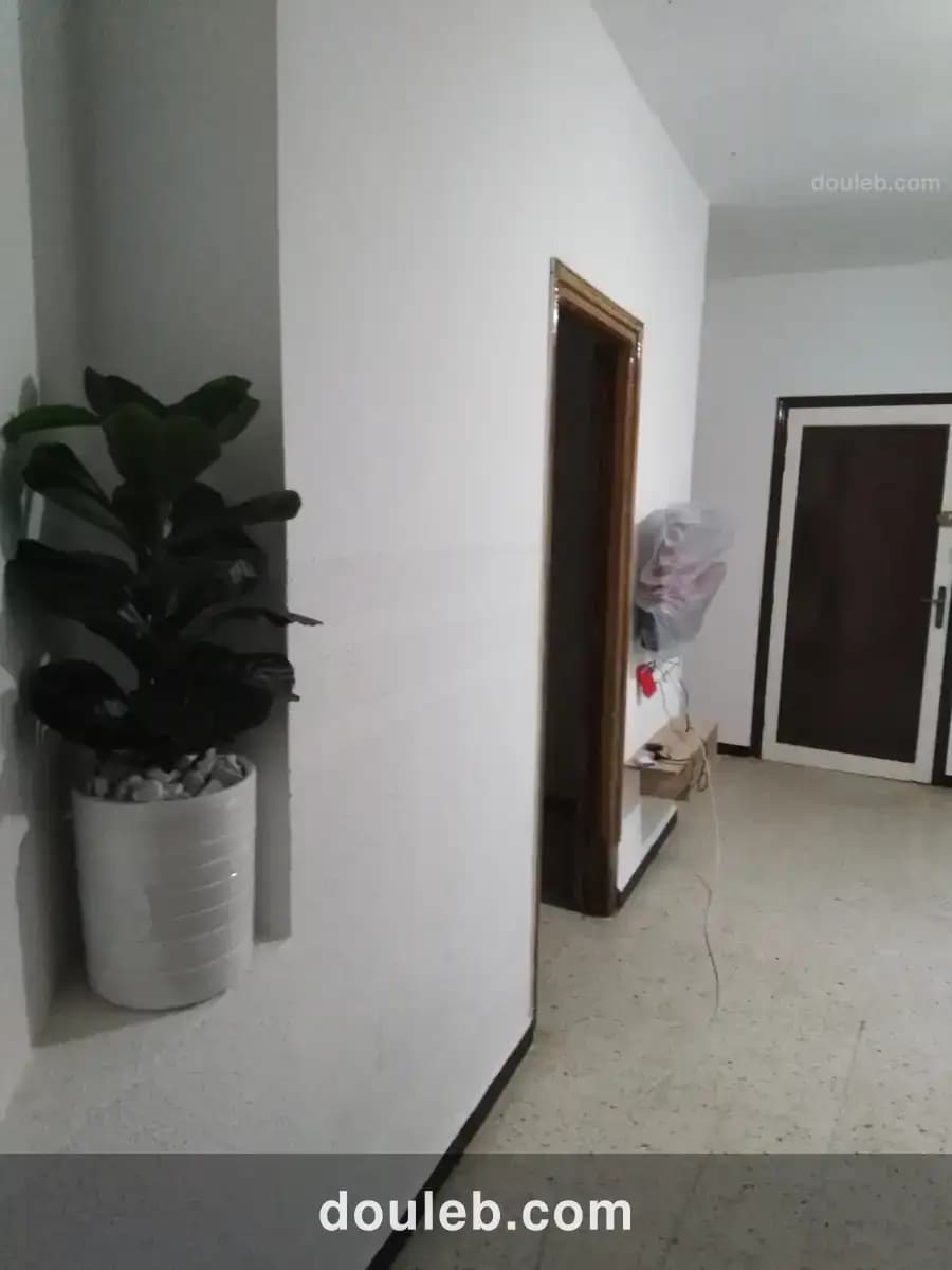 Avec certificat de propriété à Tunis