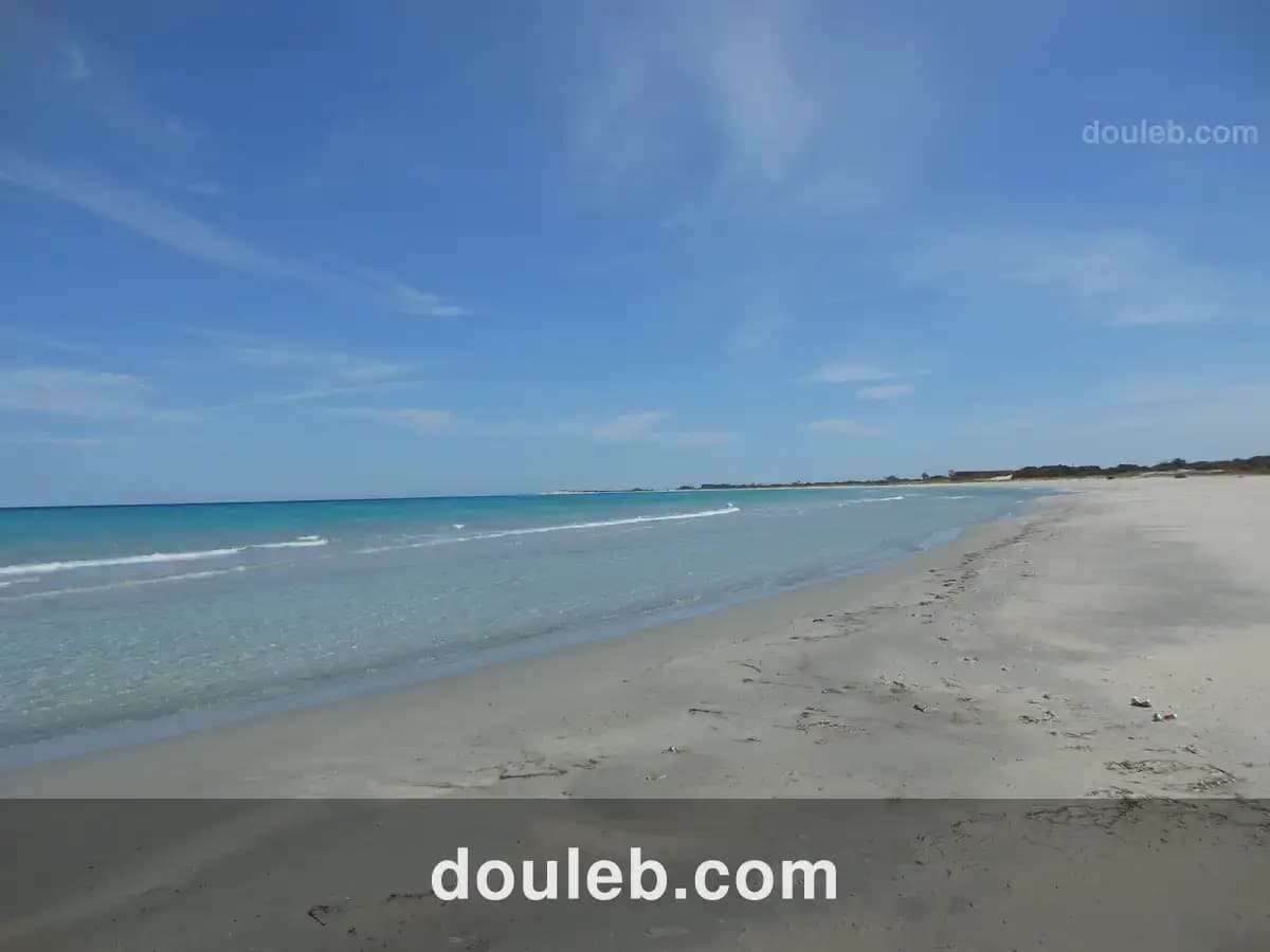 Projet touristique 5 ha au bord de la mer à Tunis