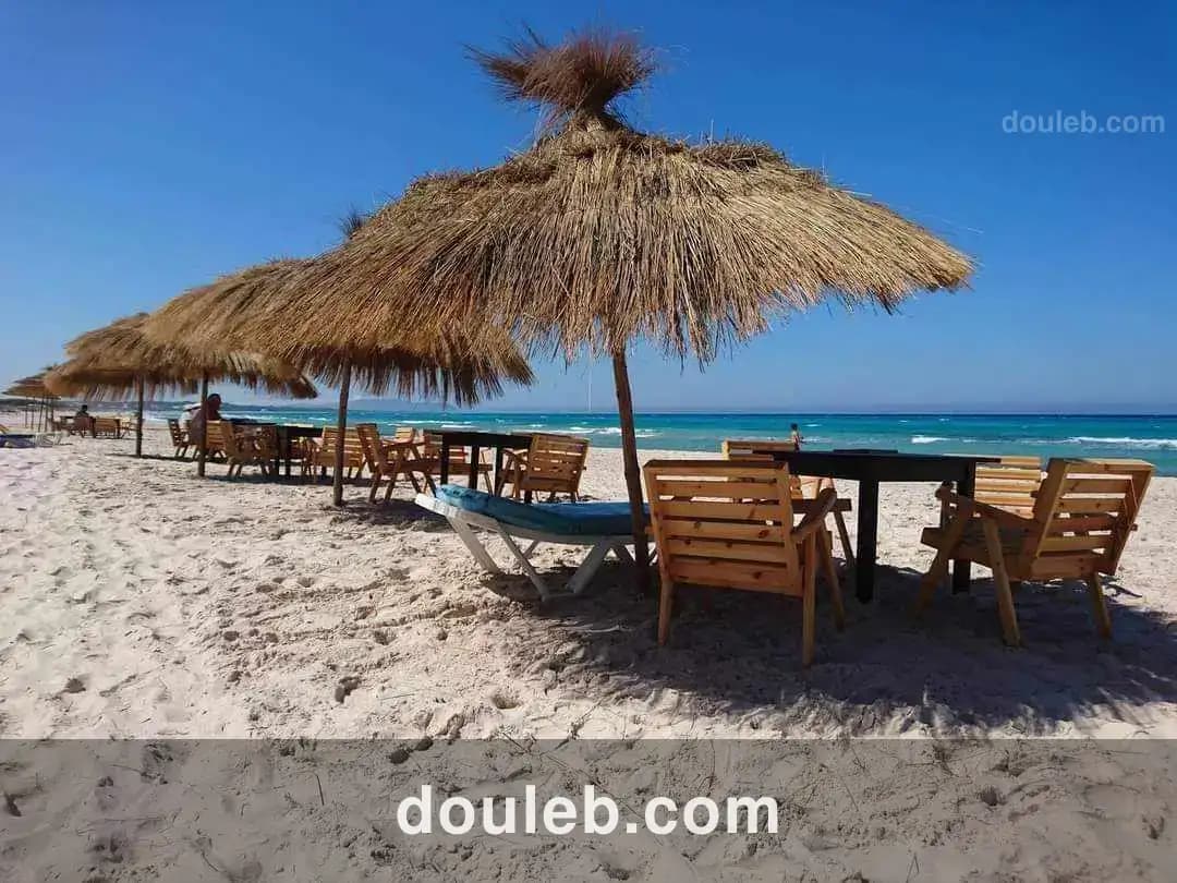 Opportunité de terrain de 5 ha à Tunis