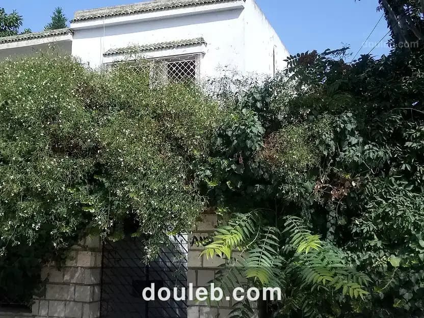 Maison s plus 3 à bardo à Tunis