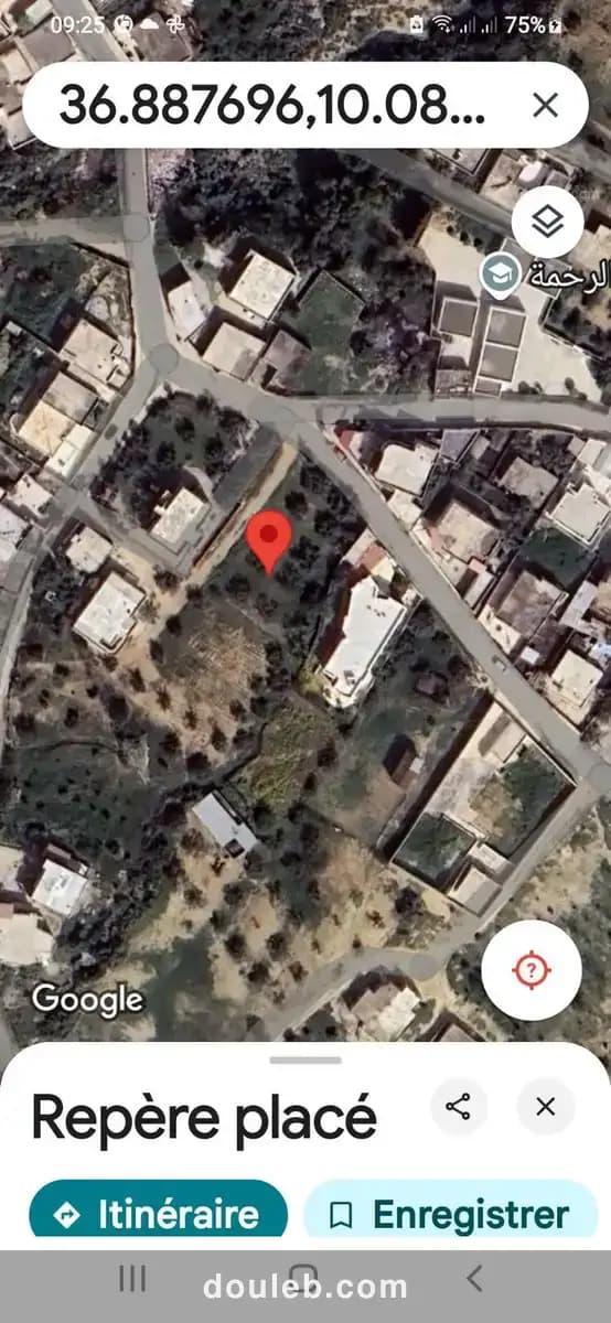 Lot a jabesse bon voisinage à Tunis