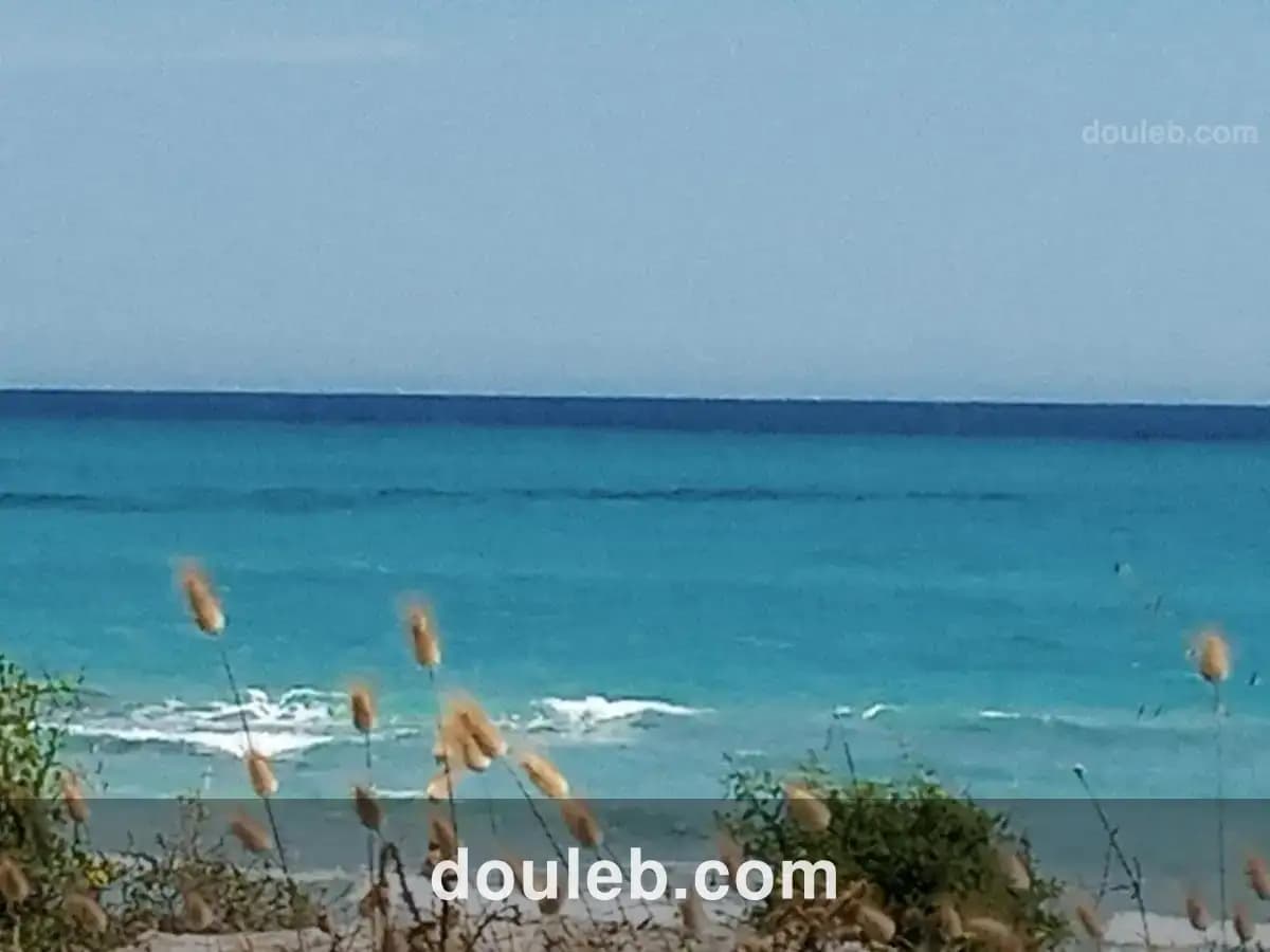 Plage ezzahra à Tunis
