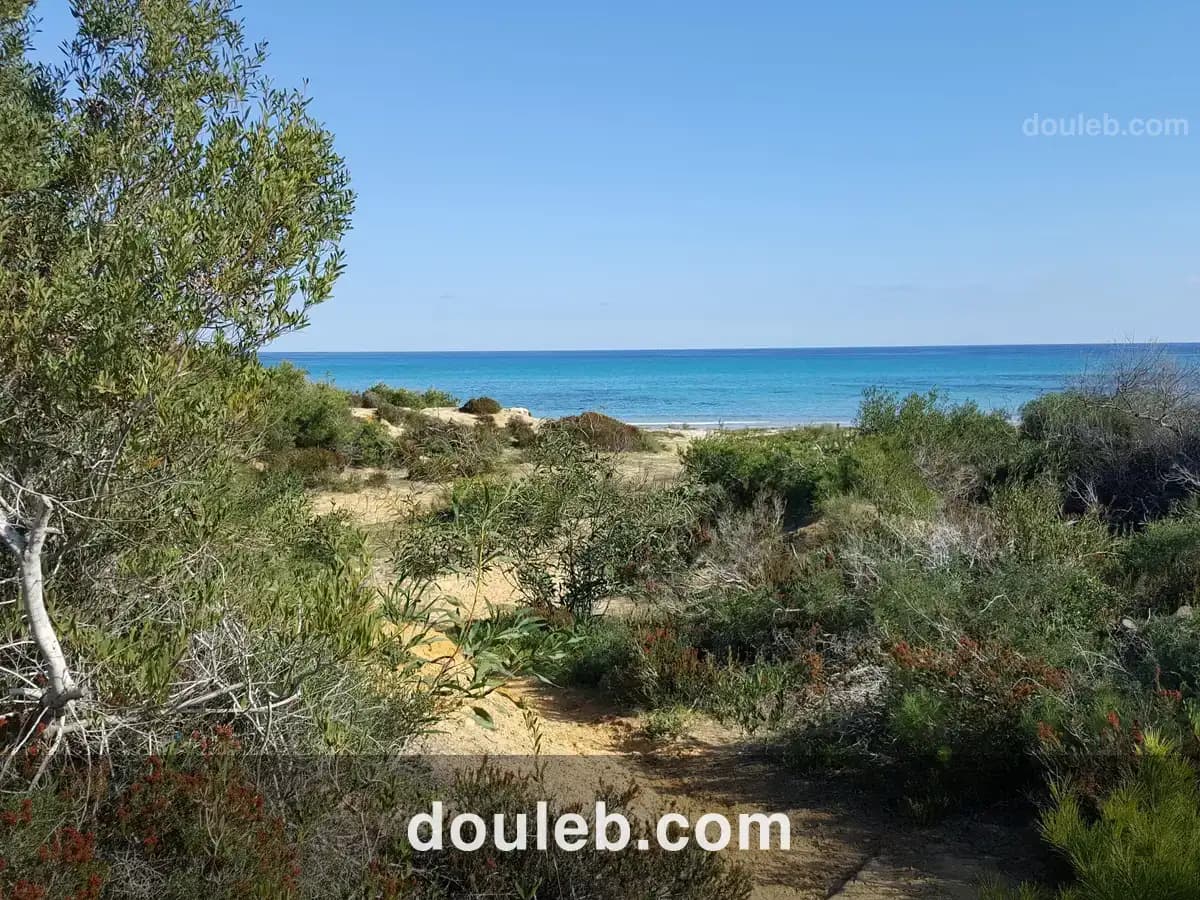 Bon plan investissement immobilière au cap bon à Tunis