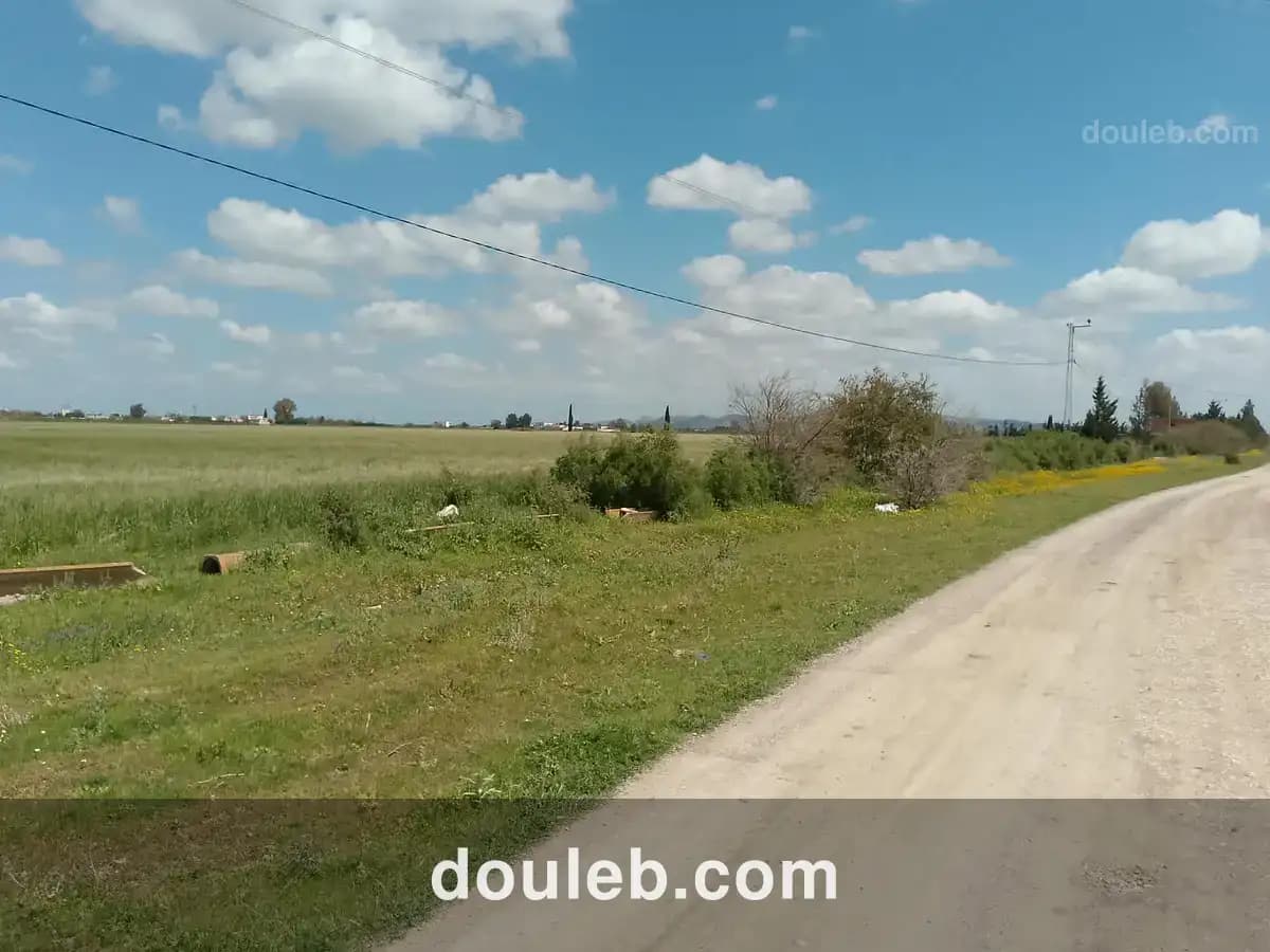 Opportunité d investissement à ne pas rater à Tunis