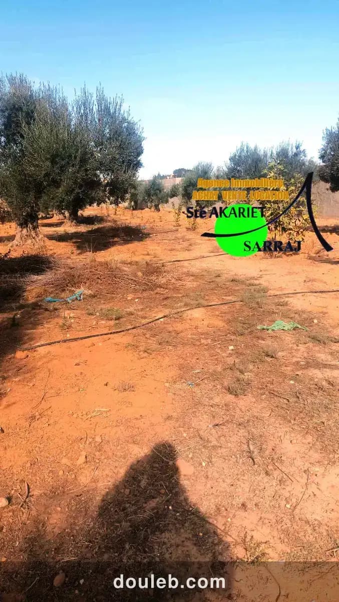 Terrain clôturé 2658m prés zine bledi tantana à Tunis