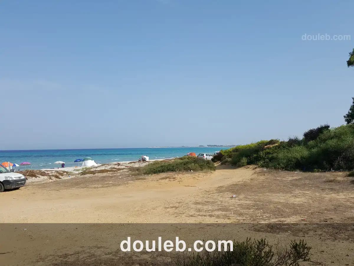 Occasion de 5 hectare au cap bon à Tunis