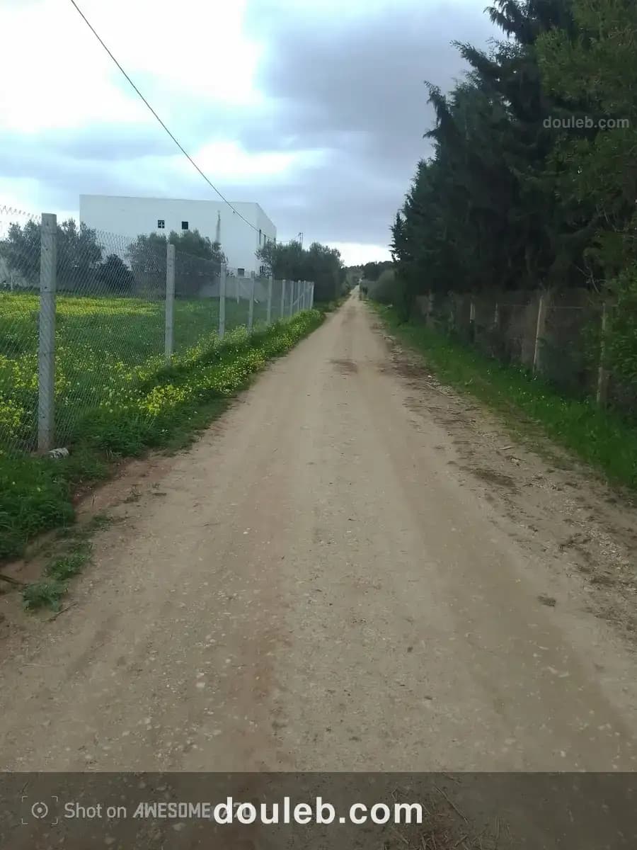 Lots de terrain de 1000 m situés à sidi thabet à Tunis