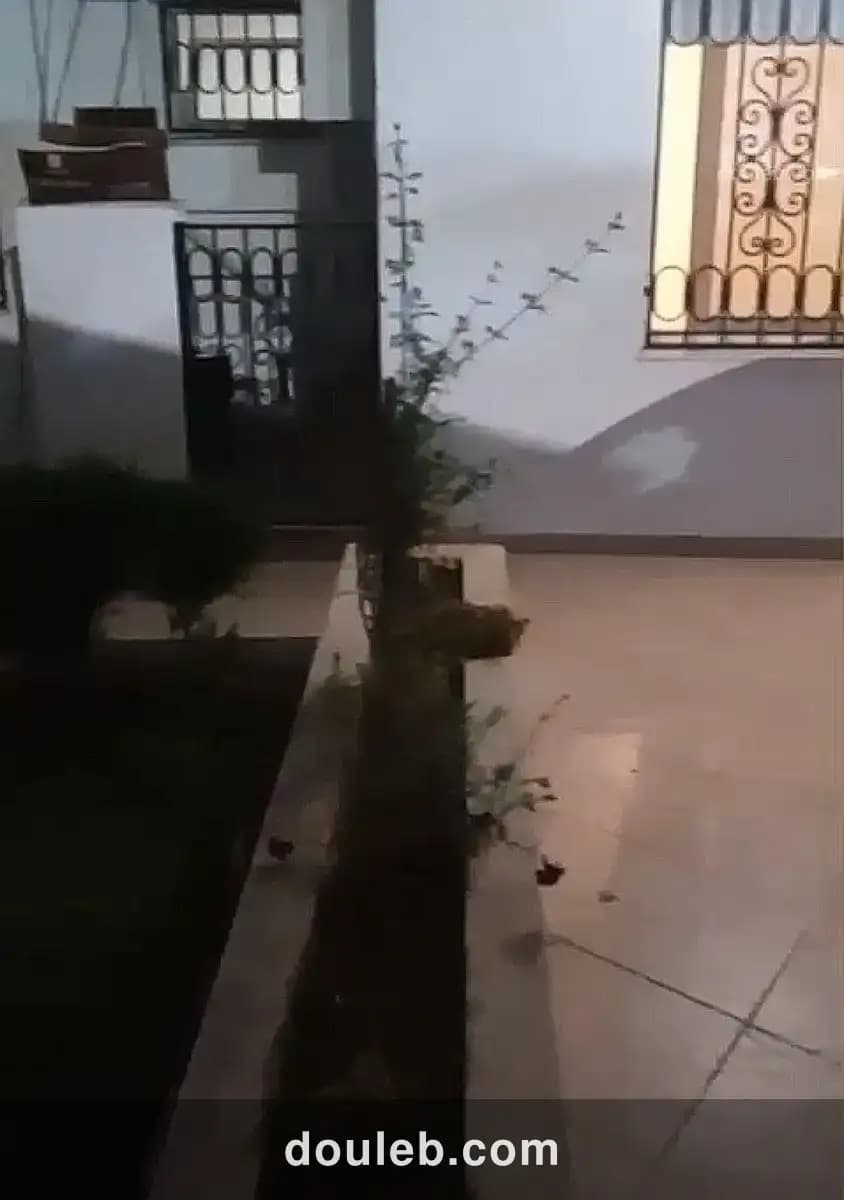 Cité ennasr appt s3 lux à Tunis