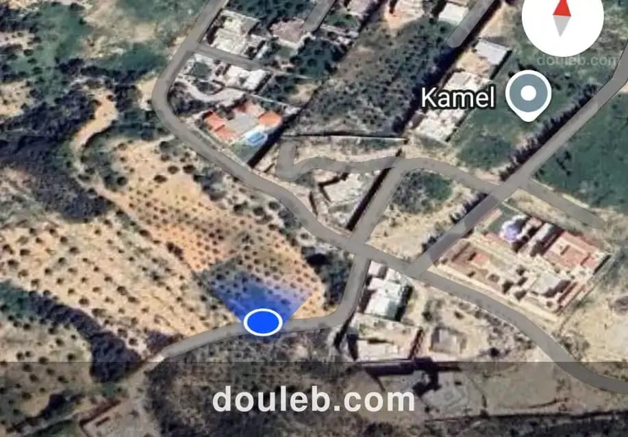 Pour amateurs de la nature à Tunis