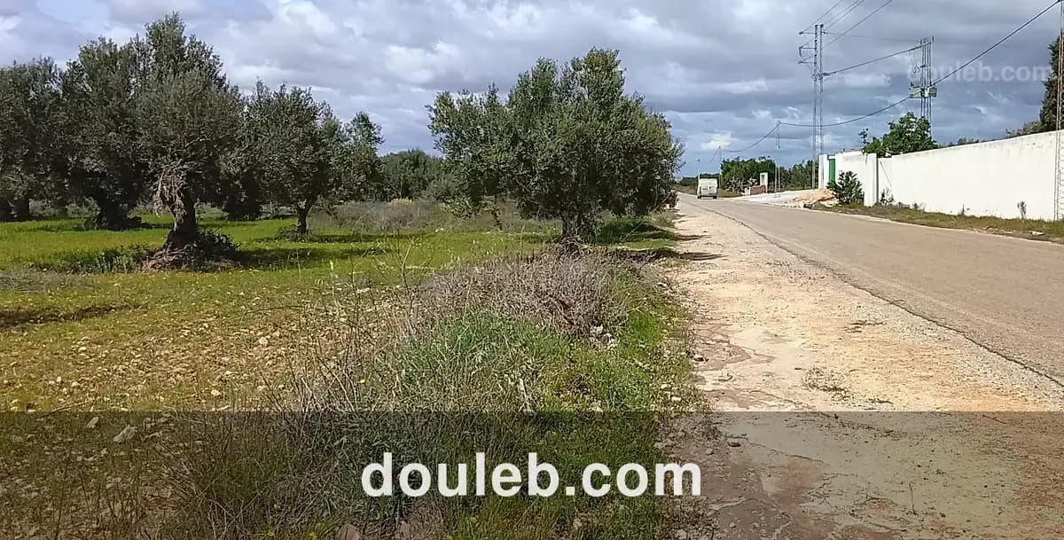 Super terrain à Tunis
