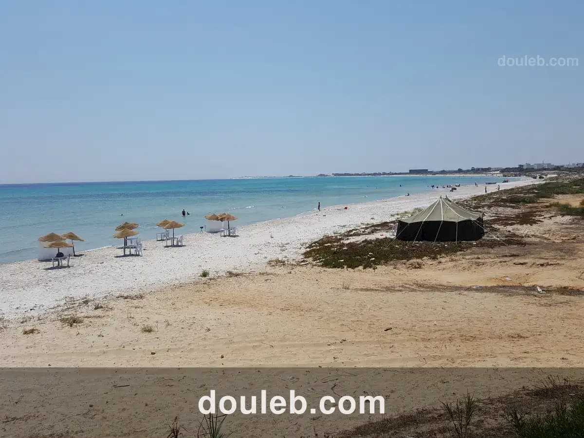 Meilleur offre de 50000 mètre carré à Tunis