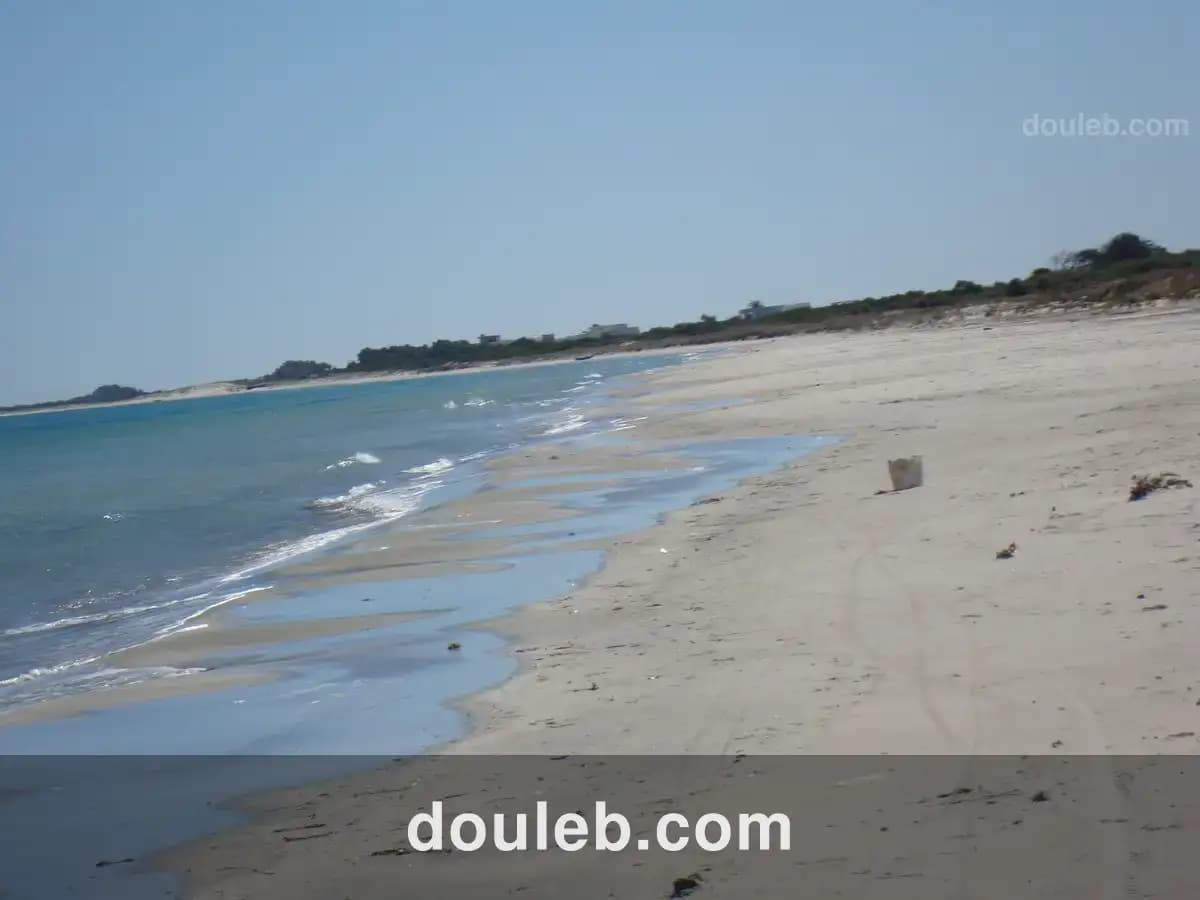 Offre magique de 5 hectare pour investir à Tunis