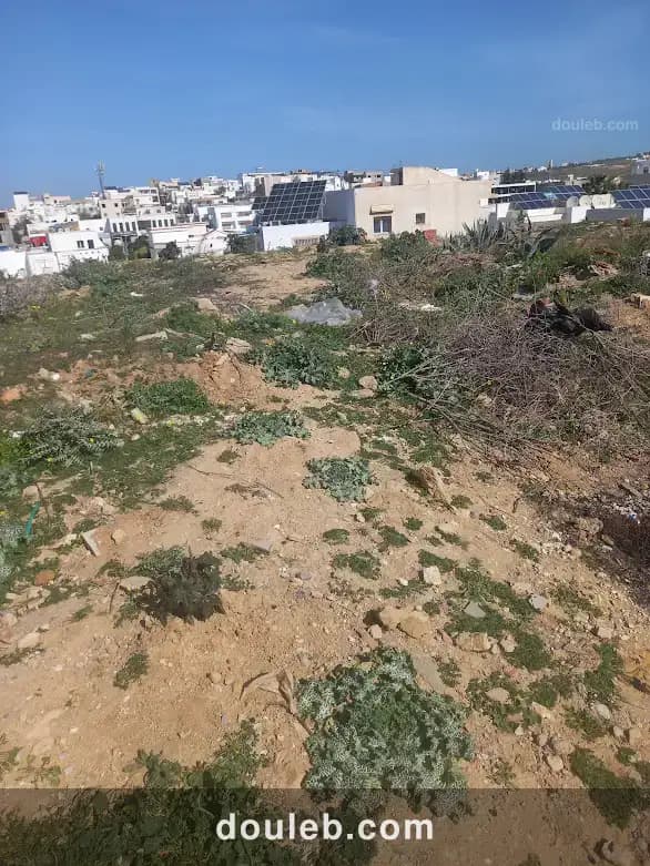 Terrain menzah 9 c à Tunis