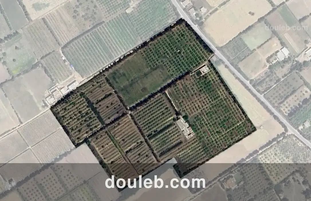 Senia 8 hectares slimene à Tunis