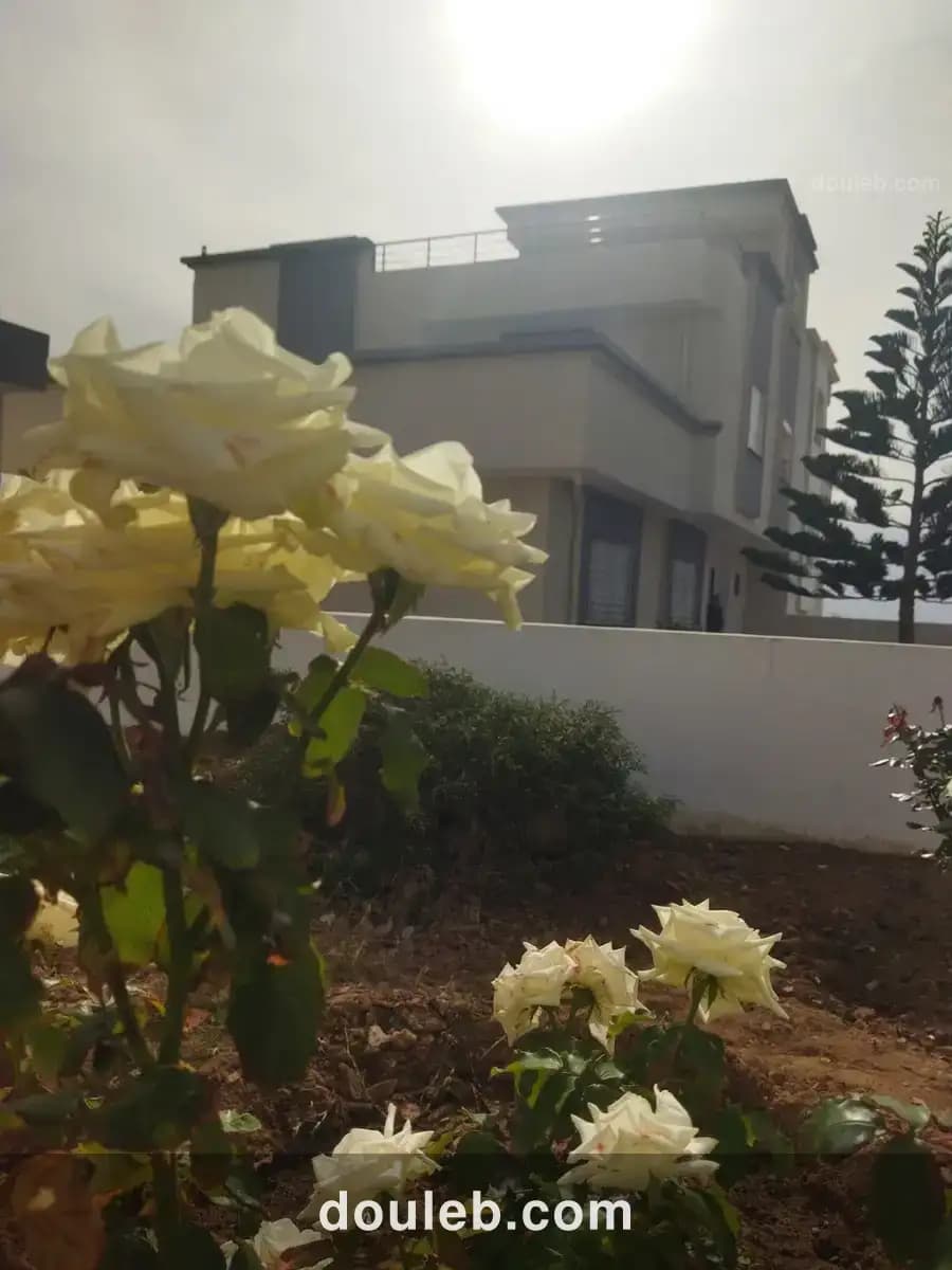 Villa luxueuse s4 et de vue panoramique à Tunis