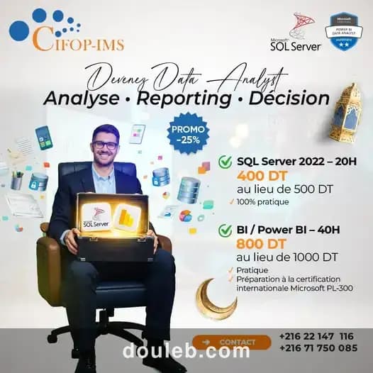 Parcours data analyst sql bi power bi à Tunis