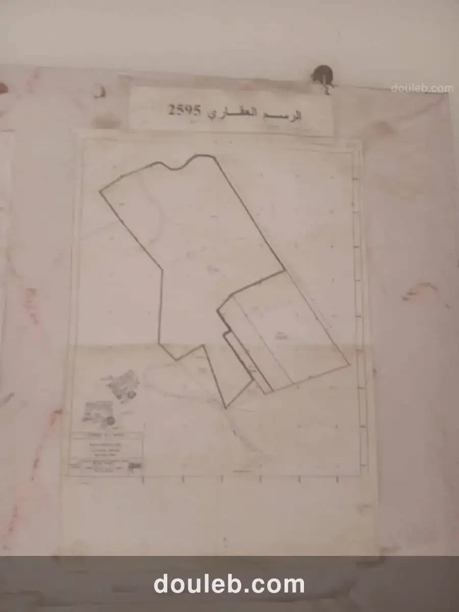 Terrain ennasr 1 borj turki à Tunis