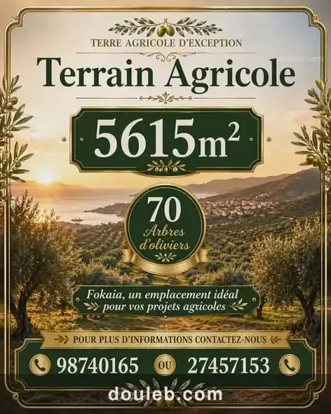 Lot d'invesstisement 5615m sur l'autoroute fokaia à Tunis