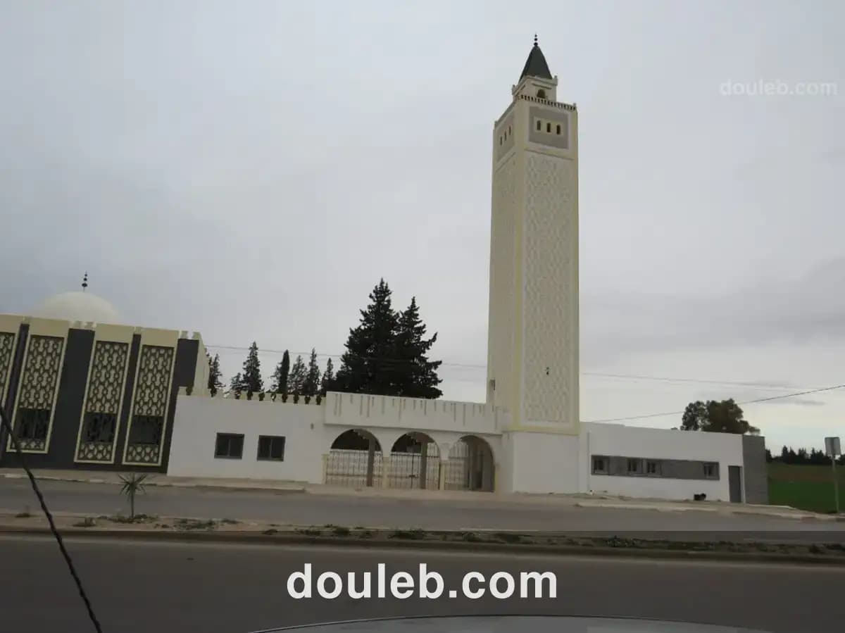 Magnifique 6936 m2 zaghouan à Tunis