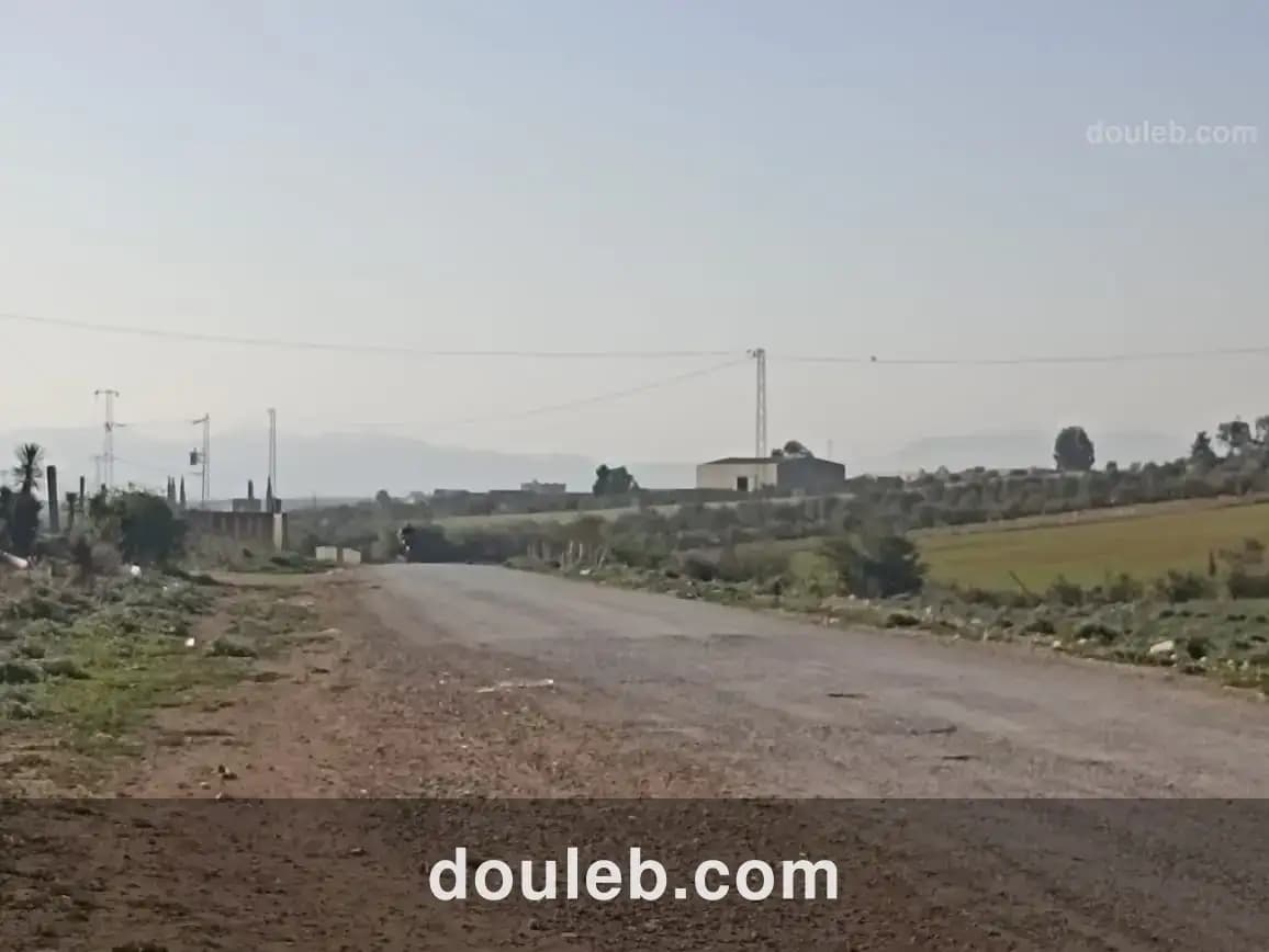 5 hectare 1h oliviers 4h nu à Tunis