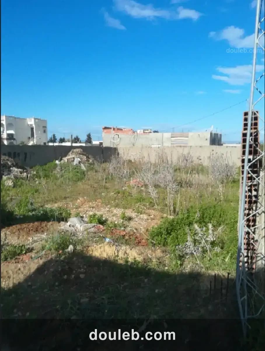 Bonne occasion à Tunis