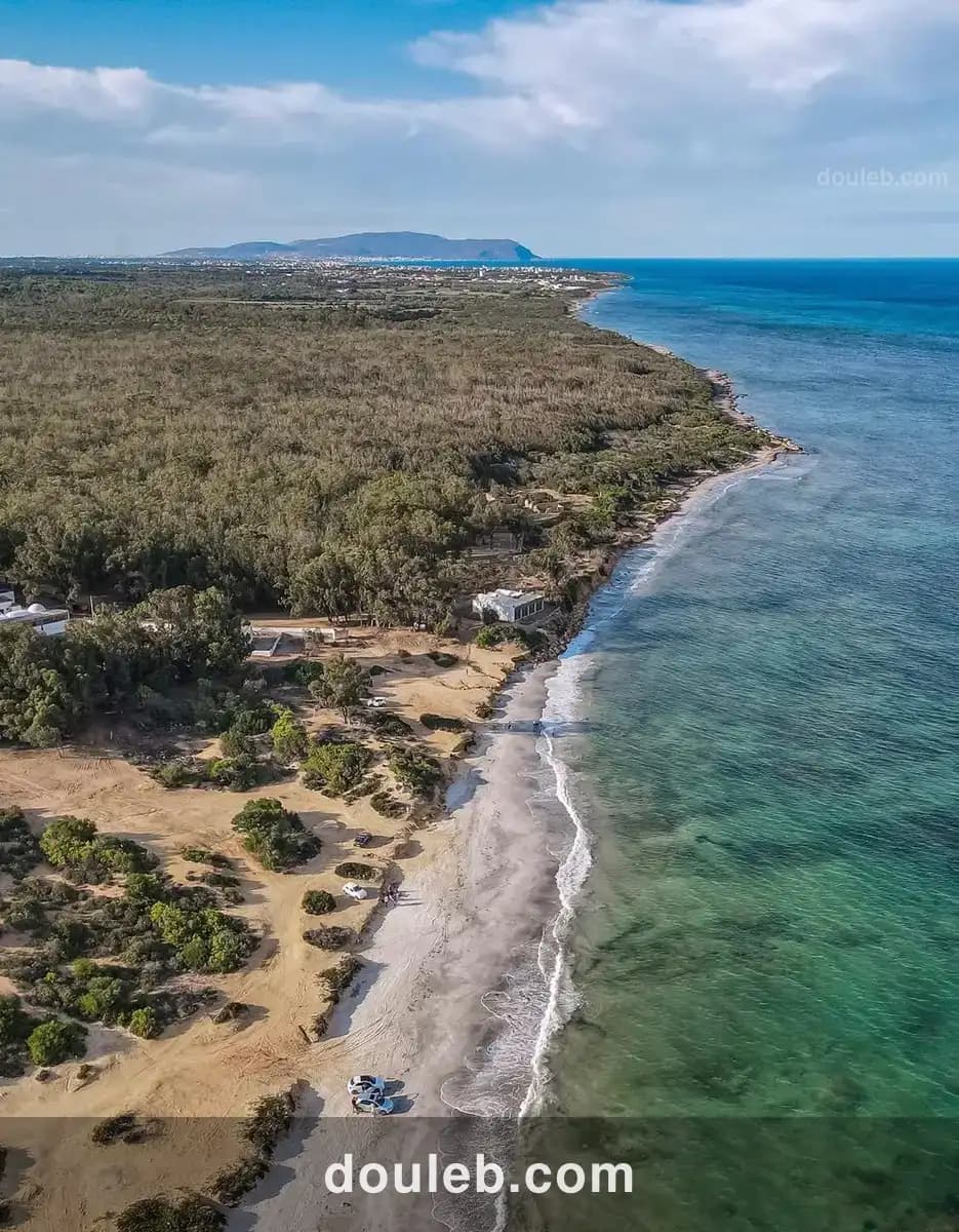 Un terrain magique de 5 ha à Tunis