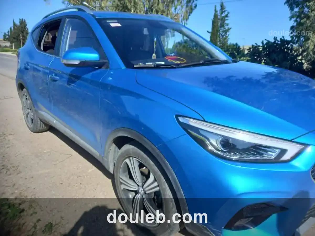 Tres propre voiture mg à Tunis