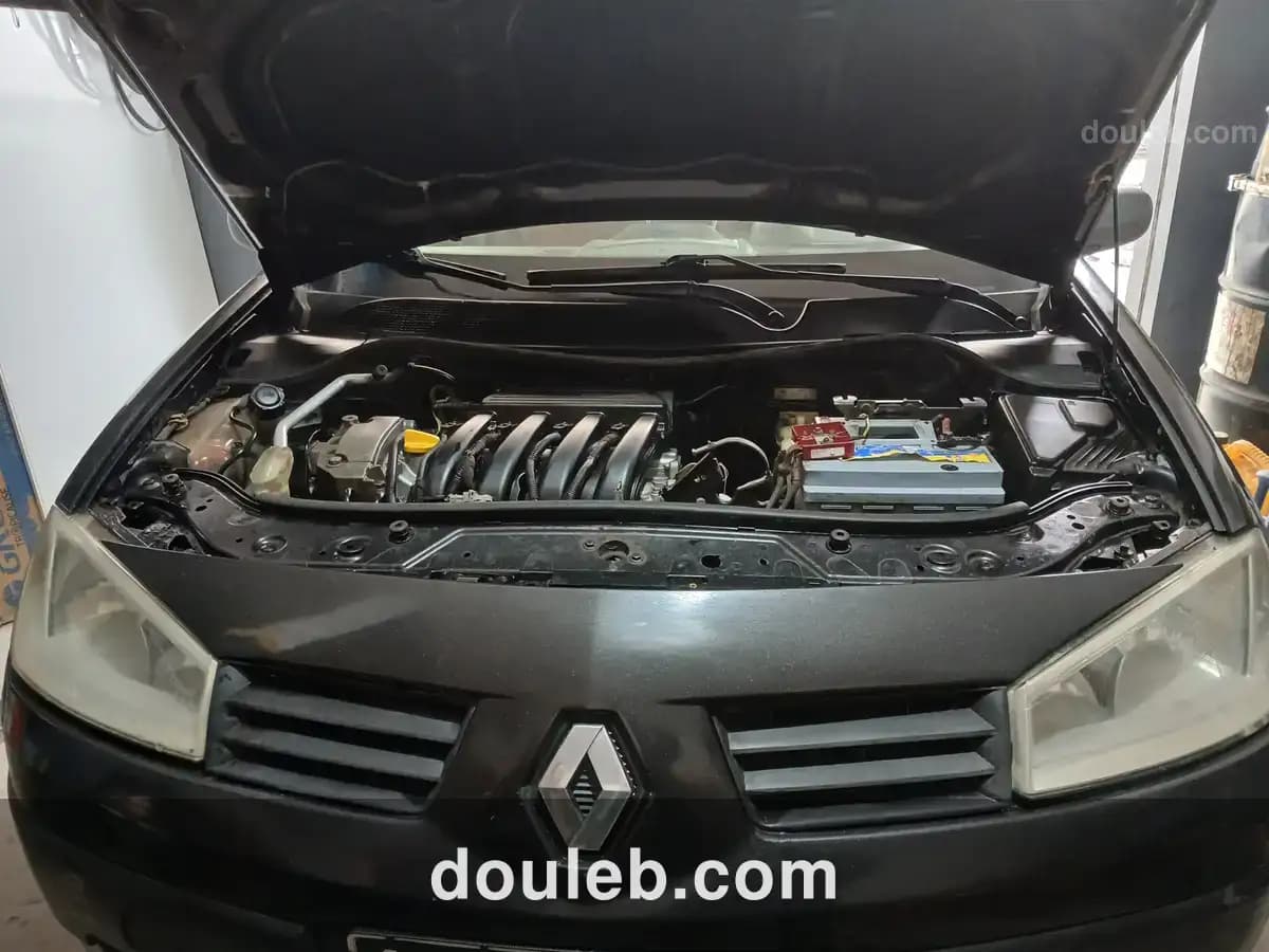 Megane casquette à Tunis