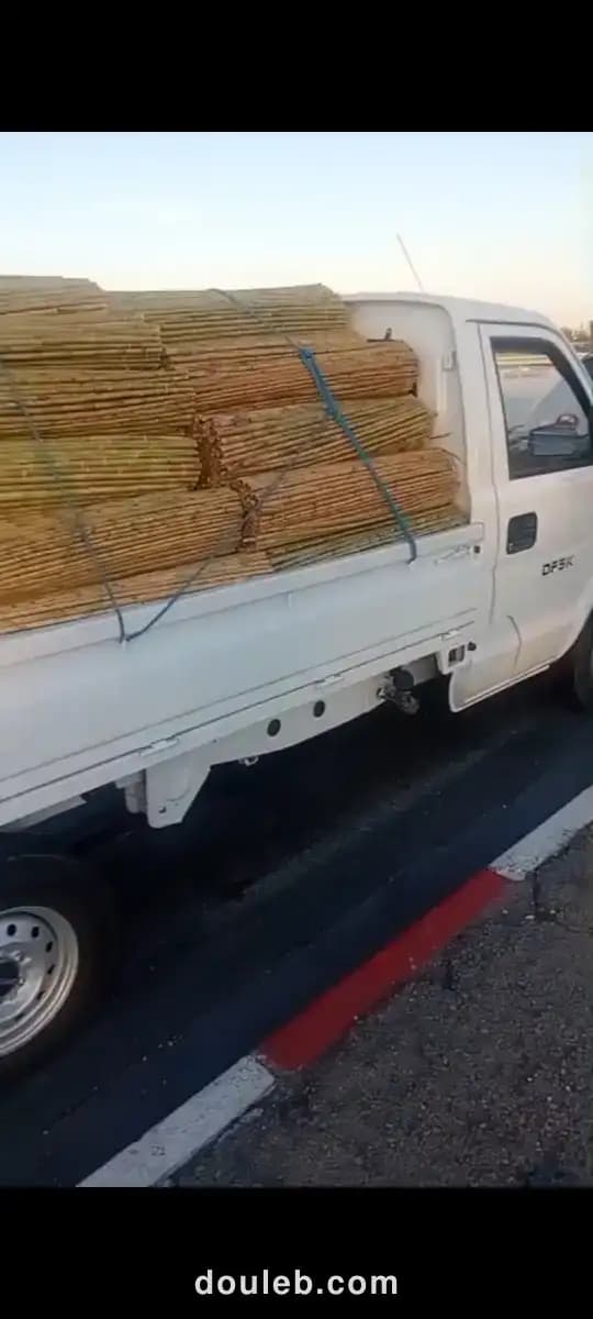 Tous types de transport à Tunis