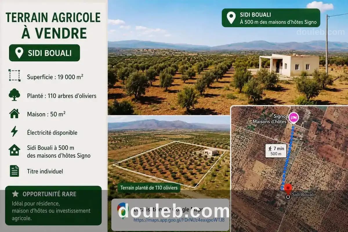 Terrain 19000m à 500m des maisons dhôtes signo à Sousse