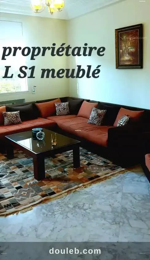 Particulier l excellent apt s1 meublé à Ariana