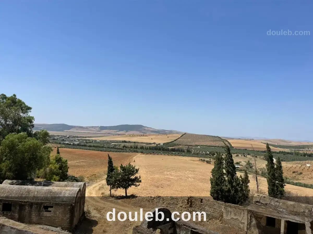 Terrain agricole ou idéal projet maison dhôtes à Bizerte
