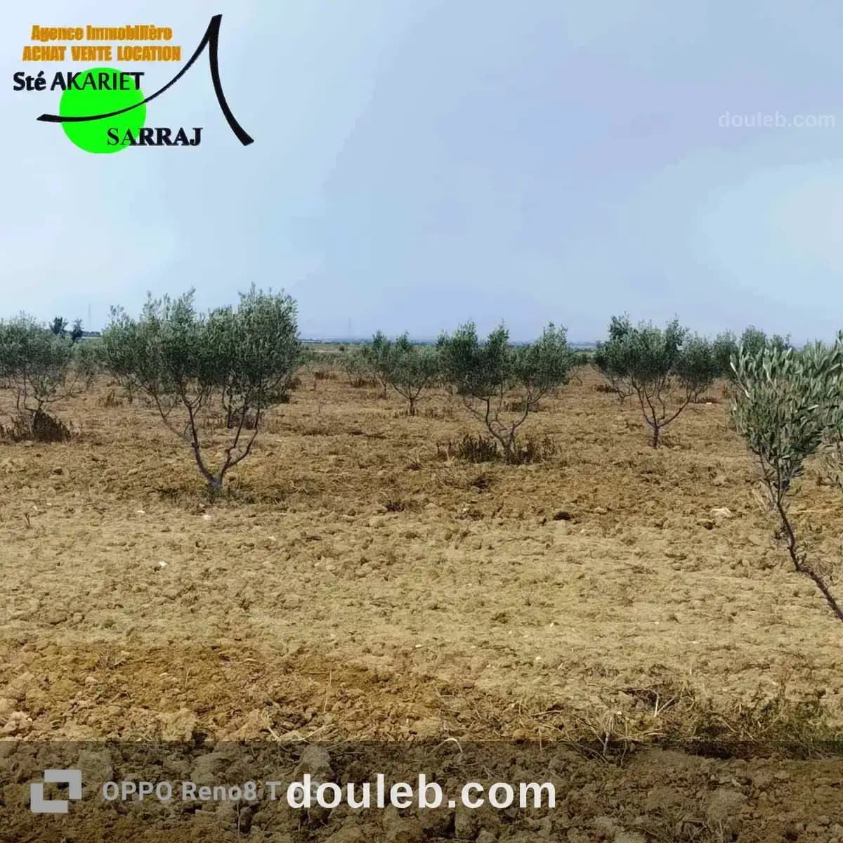Terrain agricole 6 hectares et 9479m à enfidha à Sousse