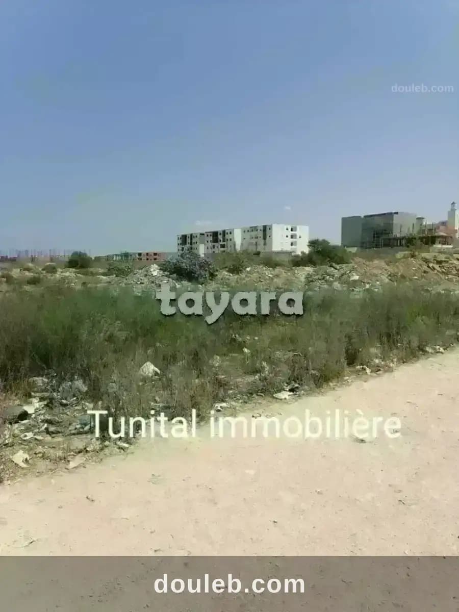 Bonne affaire à ne pas rater à Tunis