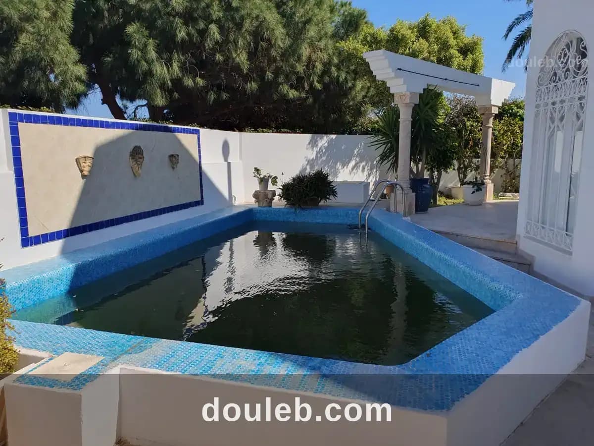 Une villa avec piscine à Tunis