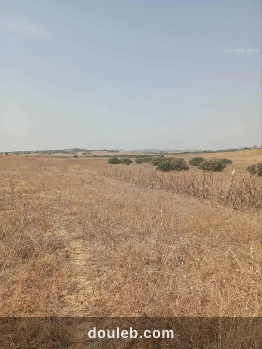 Av 7 hectares zaghouan direction hammamet à Zaghouan