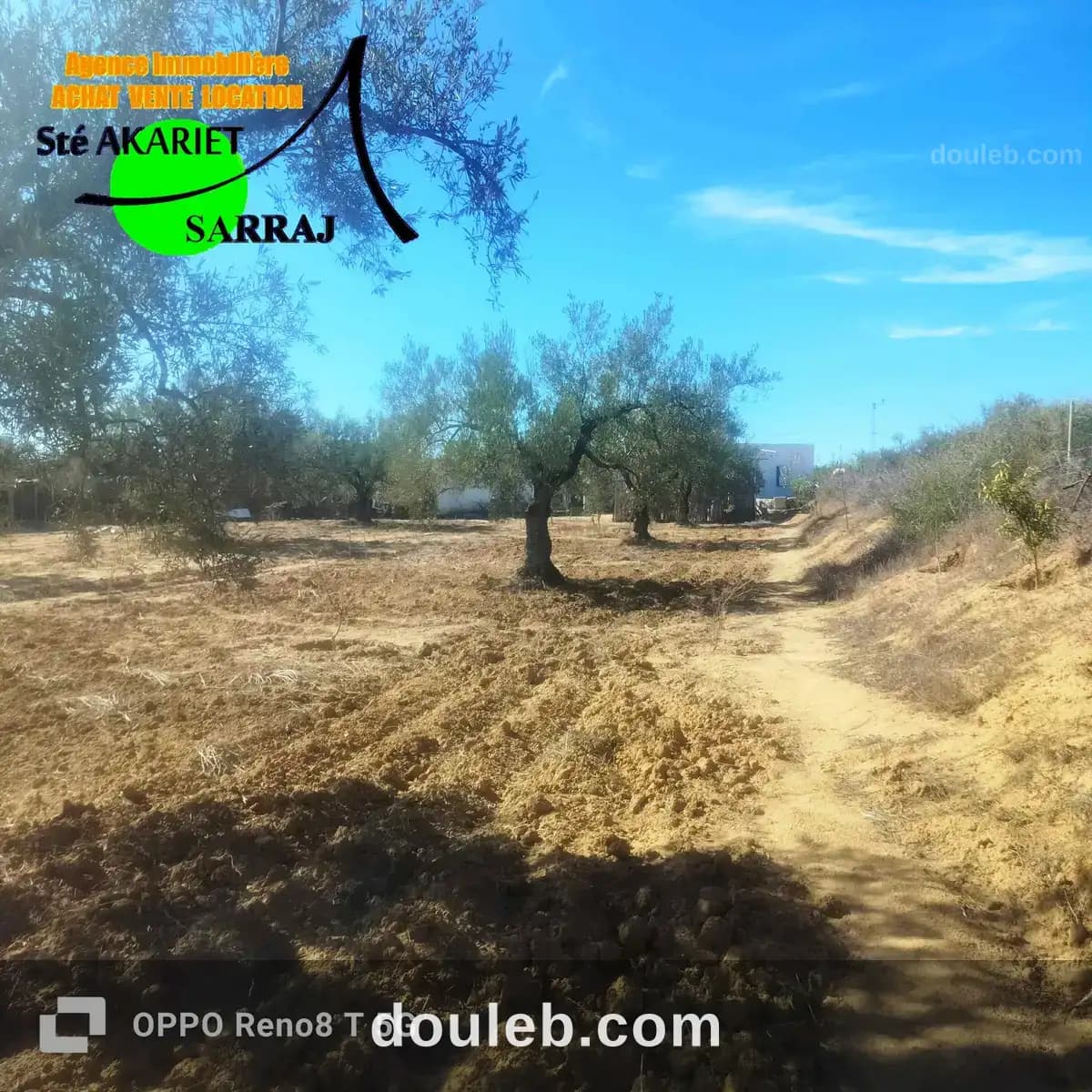 Senia clôturé 3300m à kalaa sghira oued laya à Sousse