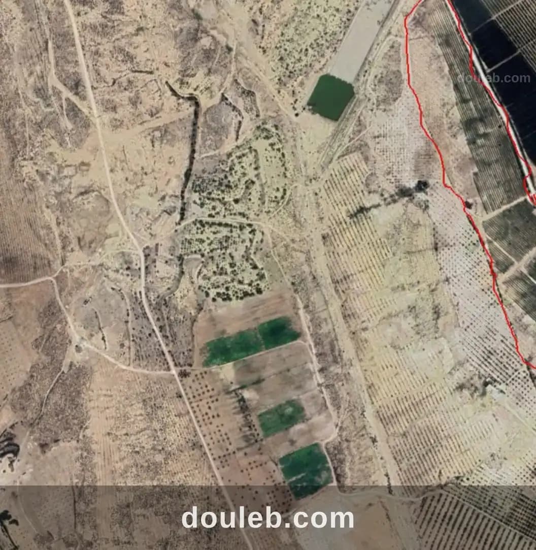 Un terrain agricole à Kasserine