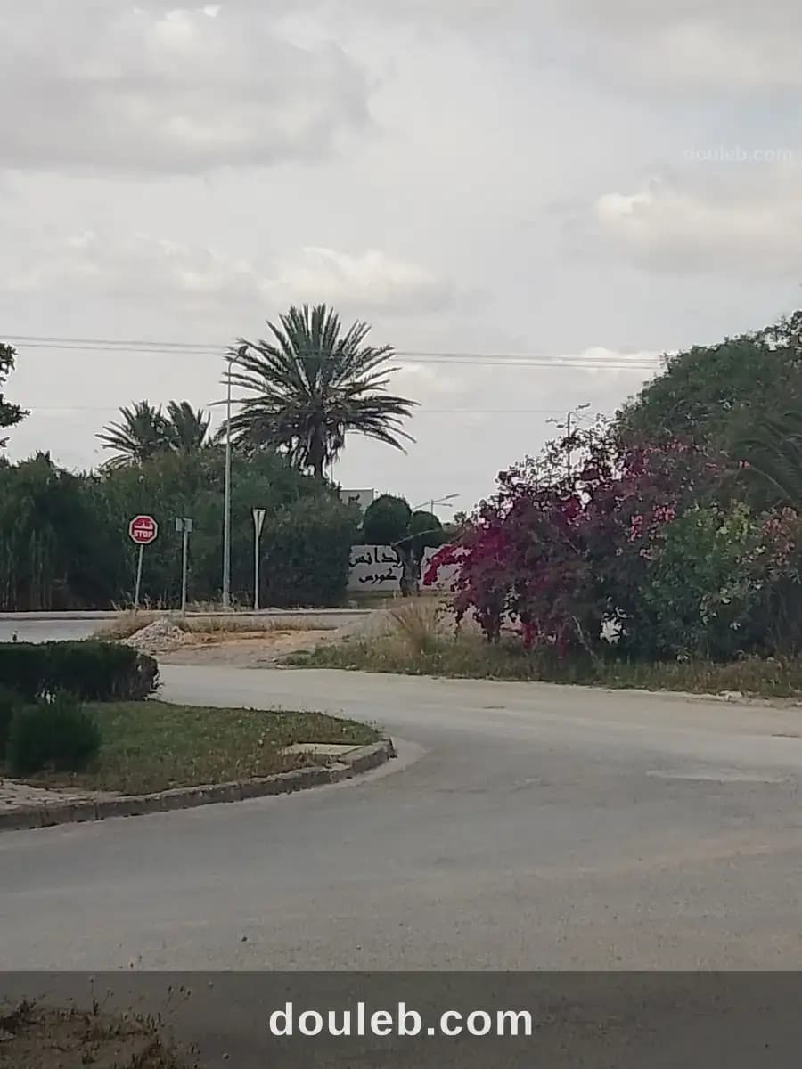 Luxueux rdc à gammarth à Tunis