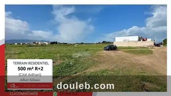 Terrain de 500 m2 à 200 dt le m2 à Nabeul