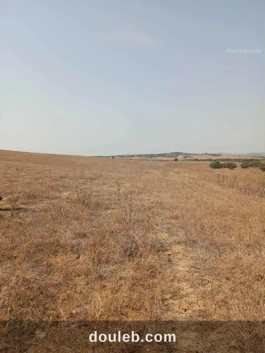 Av terrain 7 hectares route zaghouan hammamet à Zaghouan