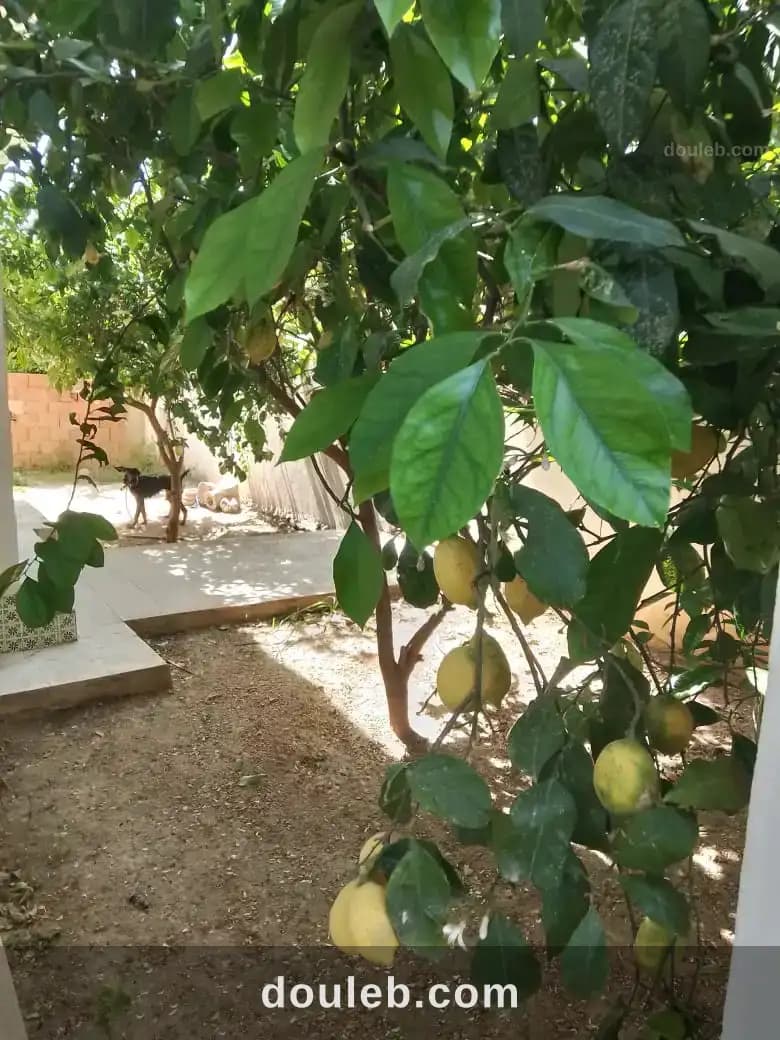 Maison au mourouj 2 à Ben Arous