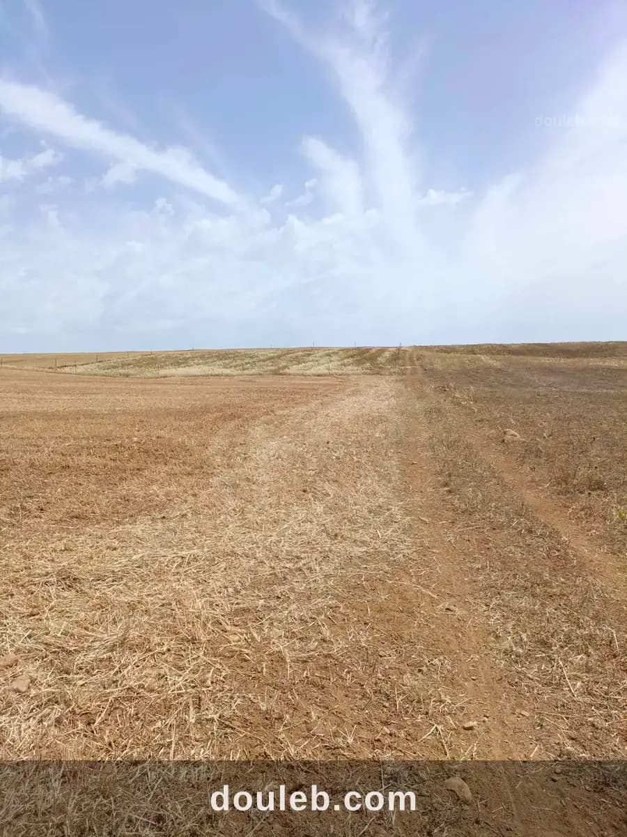 Av terrain de 4900m à hammamet sud à Nabeul