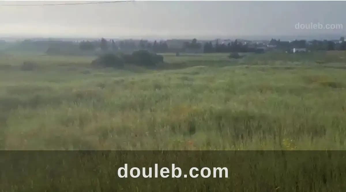 Terrain a el hattat bizerte avec titre foncier à Bizerte