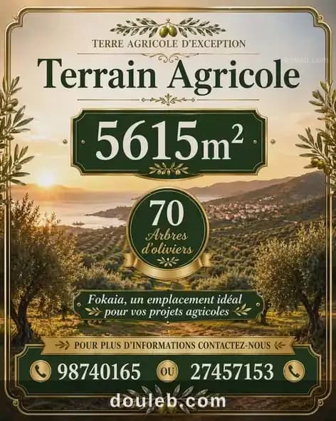Lot d'invesstisement 5615m sur l'autoroute fokaia à Sousse
