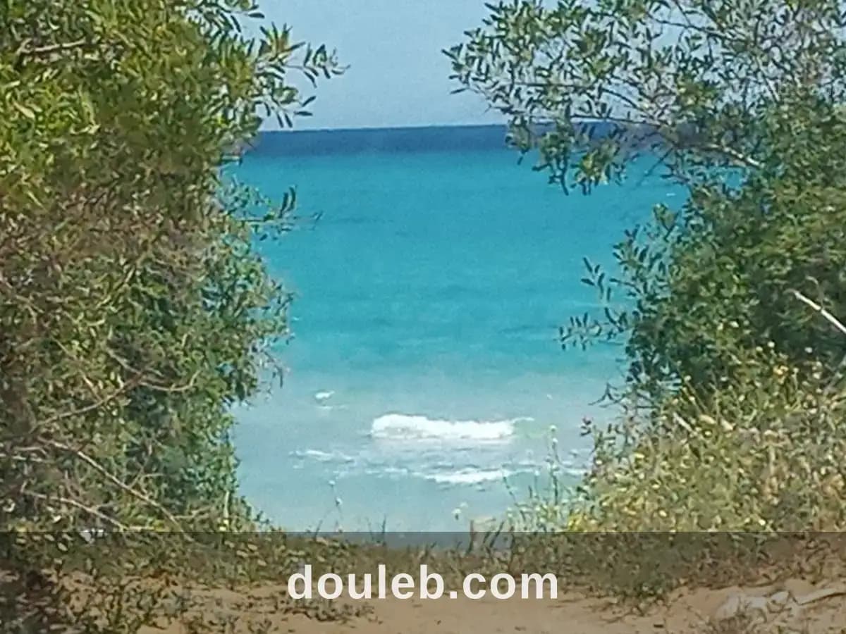 A ne pas rater à Nabeul