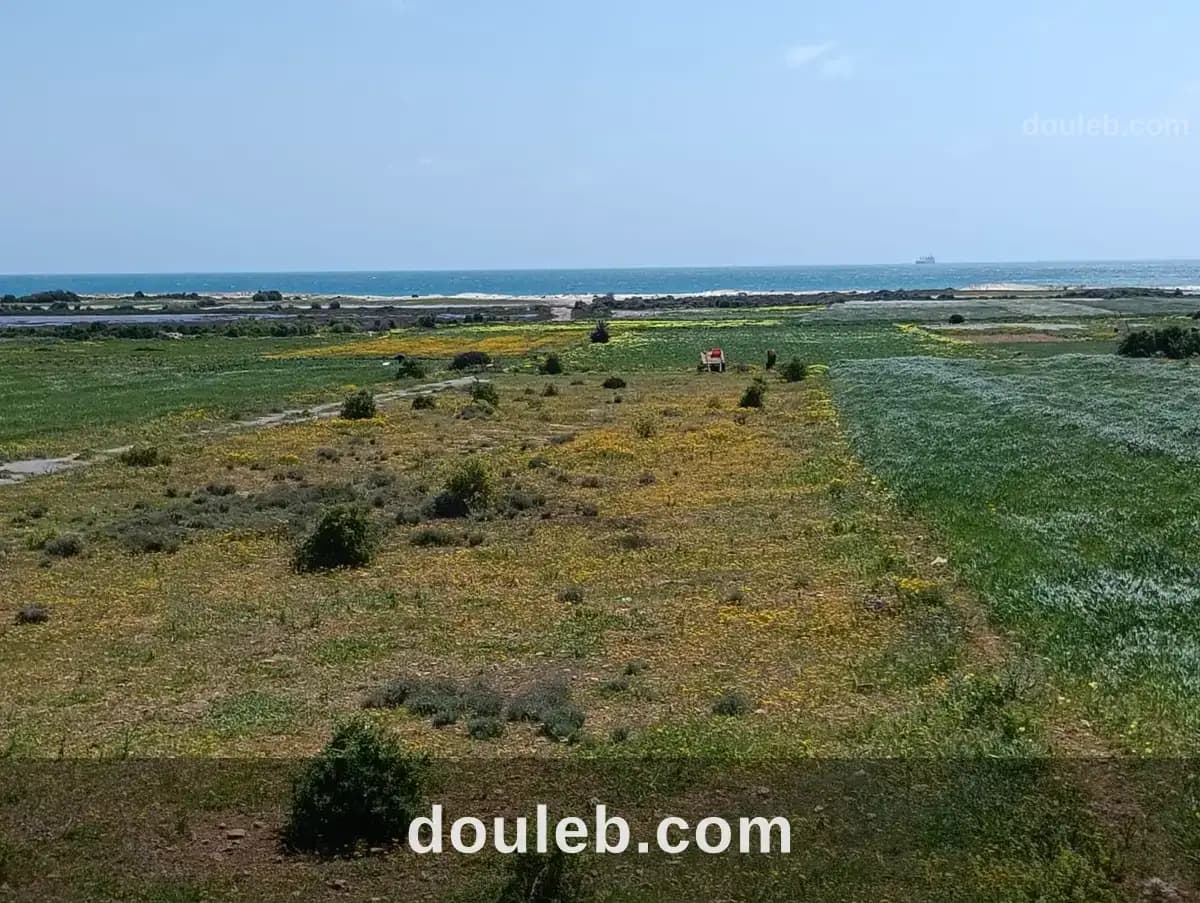 Lots à kelibia azmour à Nabeul
