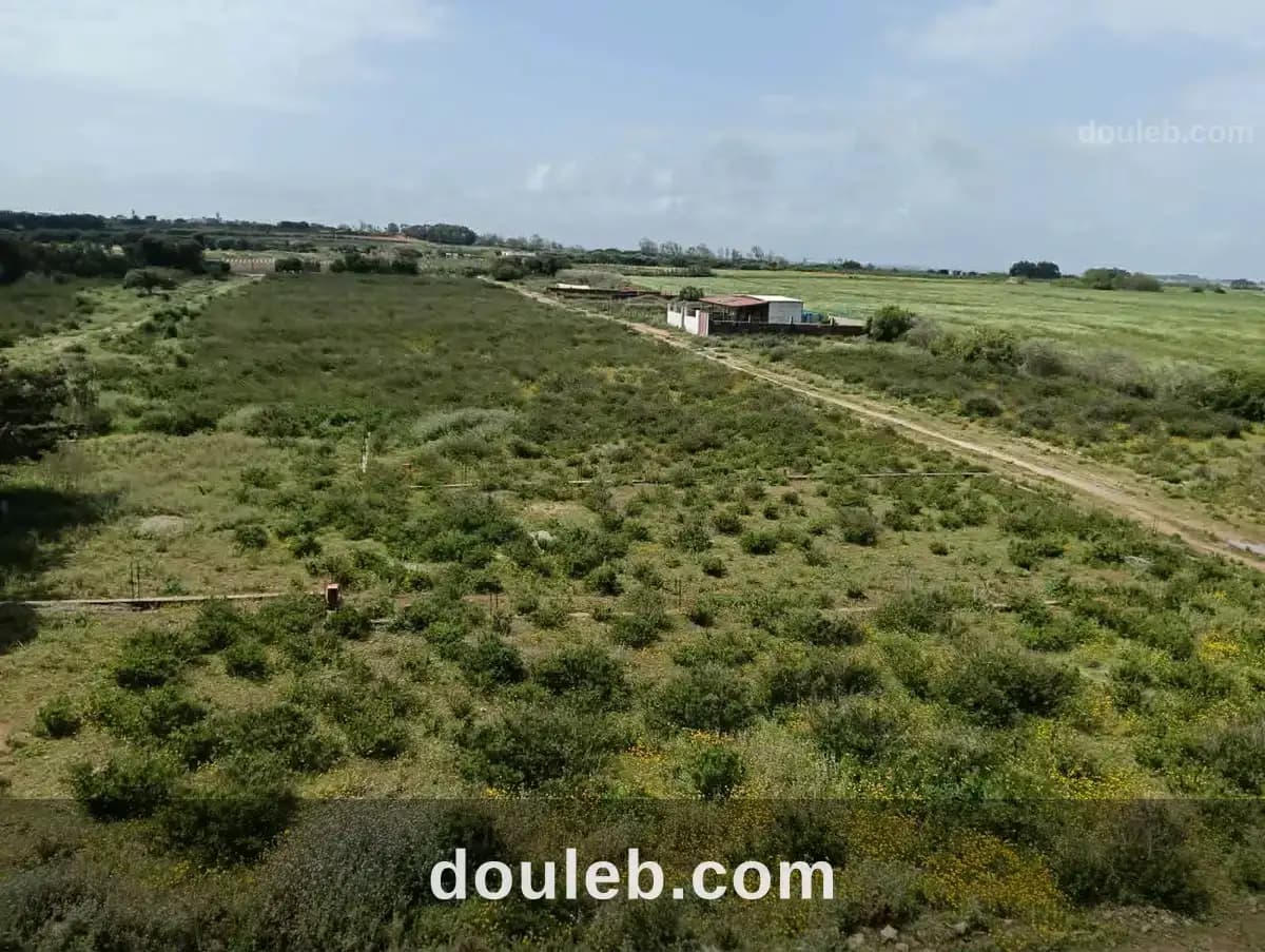 Un terrain kelibia azmour à Nabeul