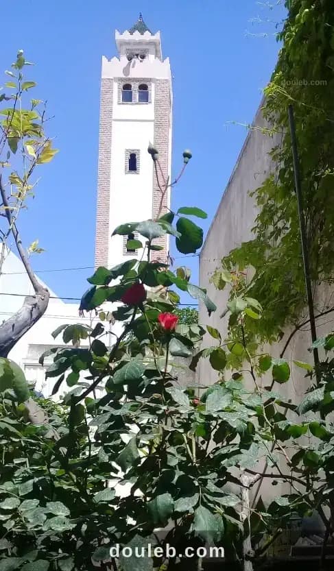 Vacance d' été à tabarka - Miniature 3